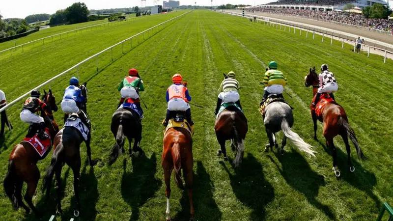 aposta de cavalo aposta de cavalo