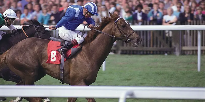 corridas de cavalos apostas corridas de cavalos apostas