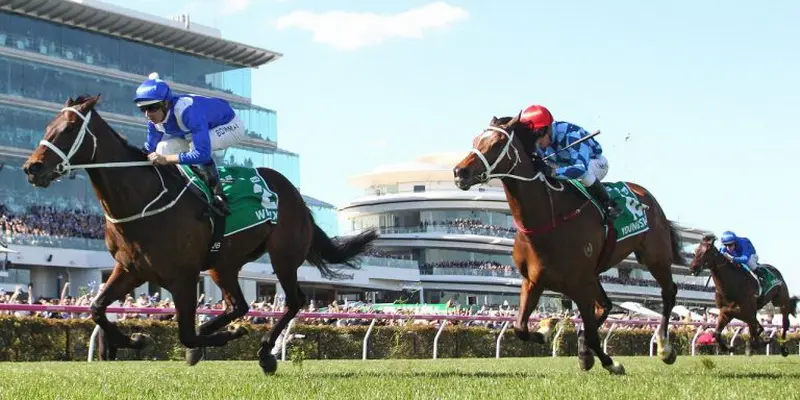 como apostar em corridas de cavalos como apostar em corridas de cavalos