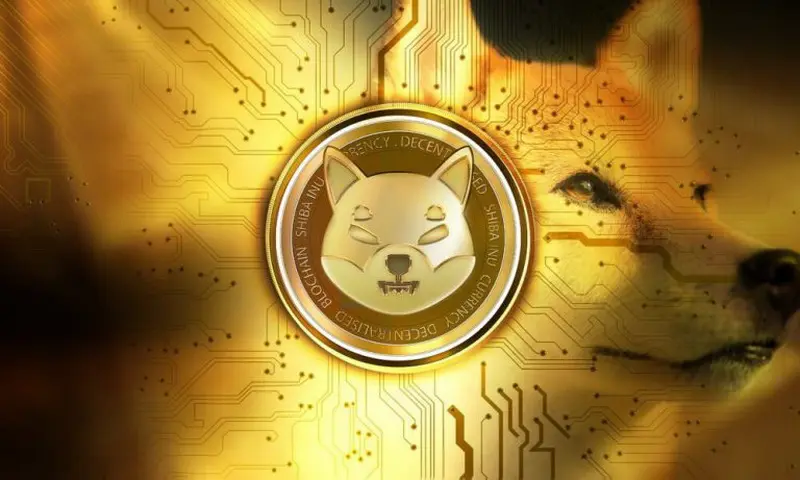criptomoeda shiba inu shib criptomoeda shiba inu shib