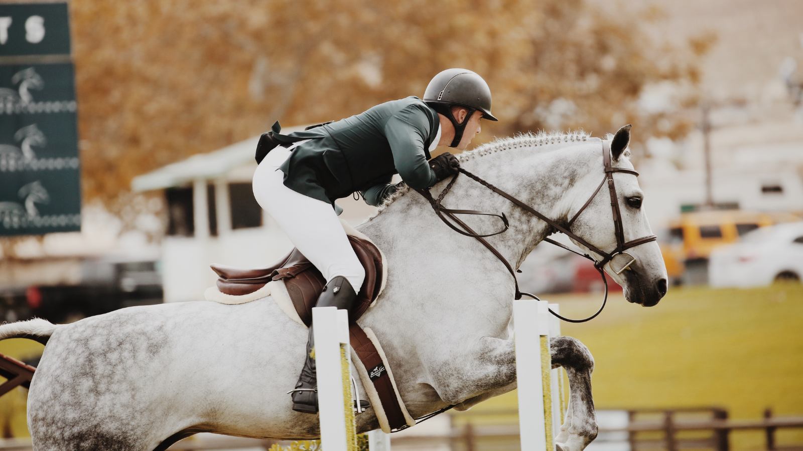 apostas trixie em corridas de cavalos