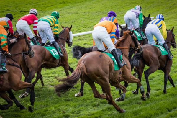 apostas-em-corridas-de-cavalos-quinela apostas-em-corridas-de-cavalos-quinela