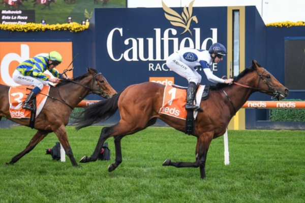 caompetição-de-corrida-de-cavalos caompetição-de-corrida-de-cavalos