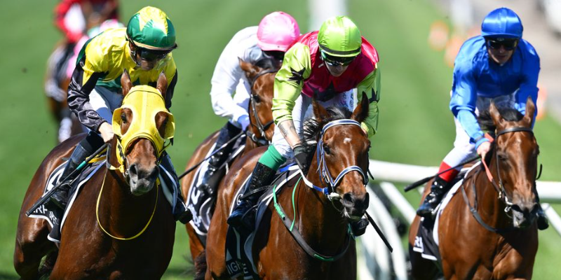 corridas-de-cavalos corridas-de-cavalos